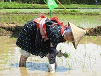 さとう珠緒さんが参加しました。