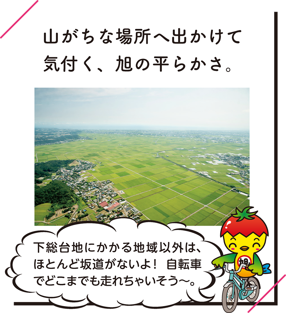 旭あるある・平ら