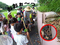 マムシ登場 大騒動